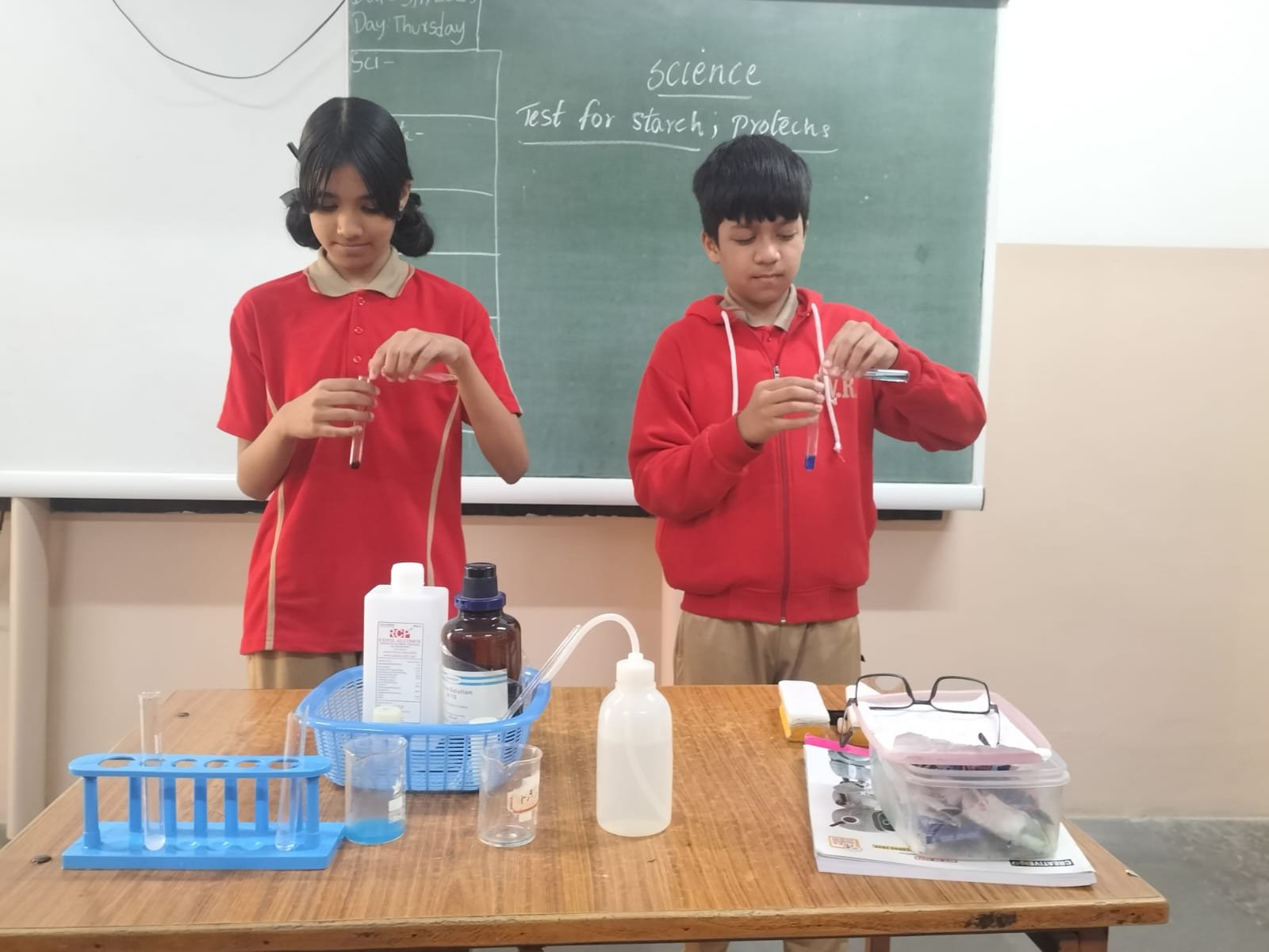 Science Fair